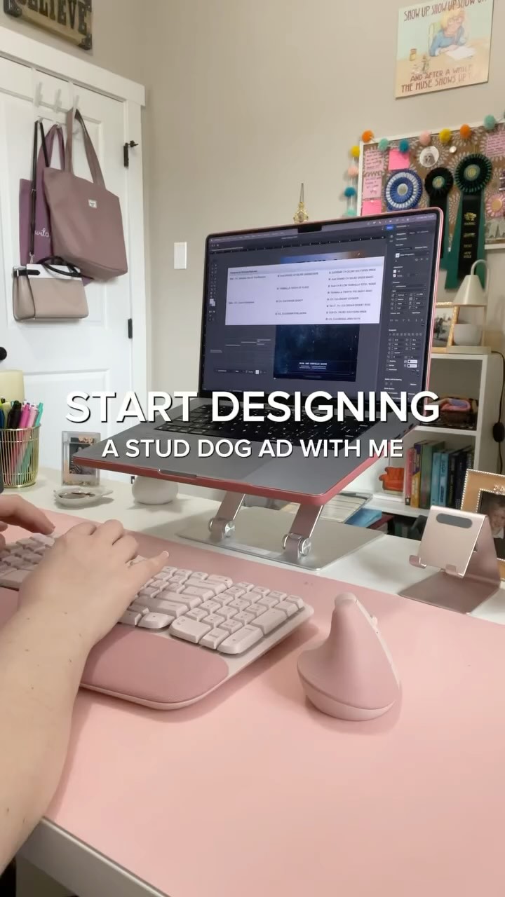 start designing a stud dog ad with me 👩🏼💻🐾
#wfhlife #barkandbrand #graphicdesignerlifestyle #beaglegram #studdogsofinstagram #asmrtyping