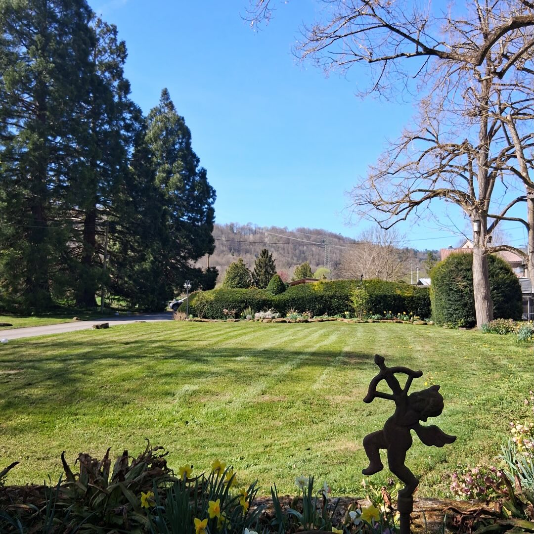 Der Frühling ist da 💐 – Zeit, (neue) Dinge wachsen zu lassen.
Bei uns im Garten sprießt und summt es schon, das Karge weicht dem Grün und bald wird wieder alles schön zugewachsen sein. 🌳
Einfach eine der schönsten Jahreszeiten, wenn draußen alles wieder langsam erwacht, oder? ✨
#shedbau27 #frühling #weiterwachsen
#mietlocationtübingen #eventlocation #draussenimgrünen #frühlingsgruß