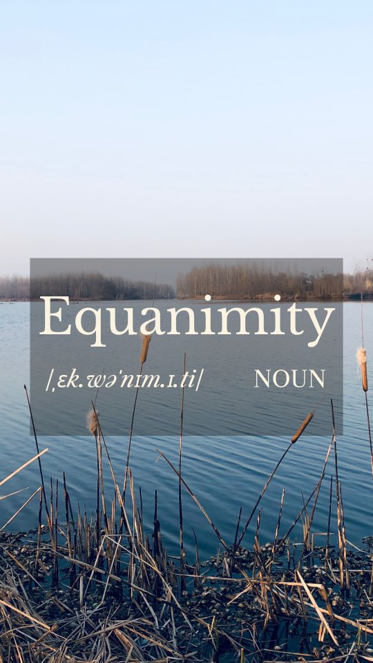 This kind of balance isn’t natural for most of us—it’s something we practice. Over time, it becomes the quiet strength that holds us steady in the storm and soft in the sunshine. 🌊☀️
🧘♀️ What helps you stay grounded when things feel turbulent?
#mindfulness #equanimity #innerpeace #selfawareness #emotionalresilience #meditation #consciousliving