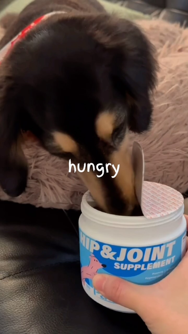POV: you contribute nothing to society…
…but mom still loves you unconditionally 💙
And gives you the best joint support too 😉🐾
#Pawizon #spoileddog #dogwellnesstips #DogSupplements #cutedoglife #healthypup #healthydoglife #dogmom #dogdaddy #dachshundpuppy #doglover #sweetpuppy #dogdaily #healthydogs #dachshundaddict #dachshundlife #dachshundlove #dachshundoftheday