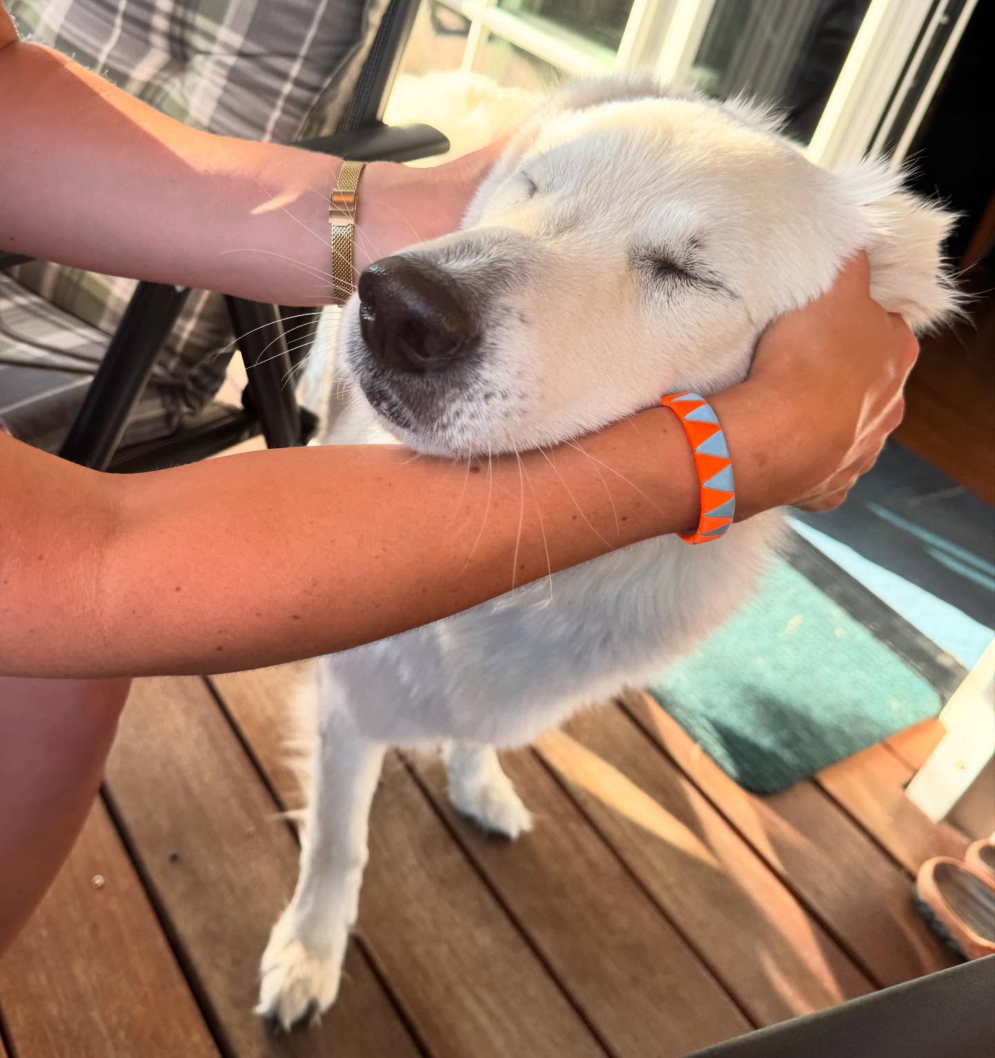 Sommermodus: AN 🔥☀️
Heute ist es so heiß, da helfen nur knallige Farben, Tiere streicheln und viel trinken!
Was habt ihr für heute geplant? 🍦💦🍹
▶️ www.happy-jumper.com
#fashionbrand #neonfashion #doglove #armband #onlineshop #horselove #summer
#HotDays #summervibes #neonvibes #dogmoments #goodvibes
