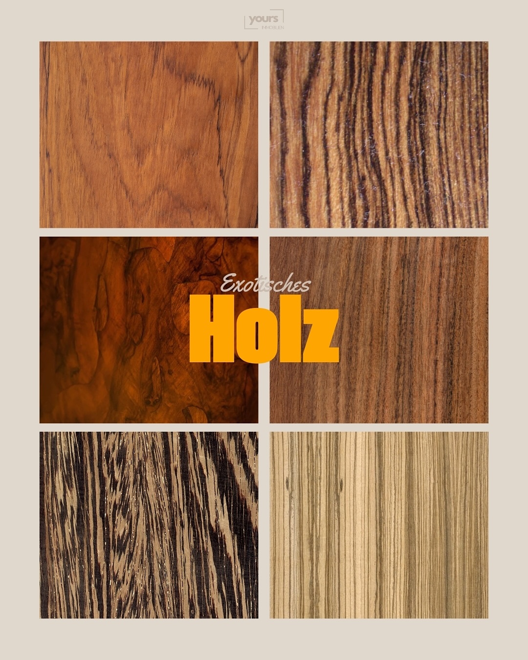 We 🪵 exotic Wood. Wenn du nach natürlichen Materialien suchst, um dein Zuhause zu etwas besonderem zu machen, haben wir hier ein paar besondere Materialien für dich. #immboilien #frankfurtammain #interior #interiorinspo #materialinspo