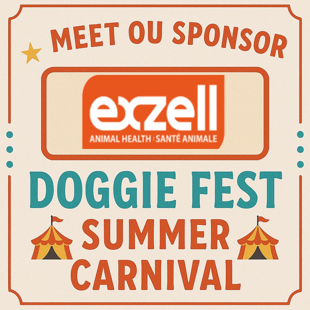 🐾 Big thanks to our sponsor Exzell Animal Health for supporting Doggie Fest Summer Carnival! 🎪🧡
Exzell Animal Health, part of Exzell Pharma, is dedicated to enhancing dogs’ and cats’ well-being with high-quality, science-backed supplements for joint, skin, immune, and overall health. We’re so grateful for their generosity in helping us make this paw-some day possible! 🐶✨
✨ Come by the Doggie Fest booth tomorrow to snag free samples — while quantities last!
#DoggieFestSponsor #PetWellness #DoggieFestToronto #torontodoglovers #torontodogevents