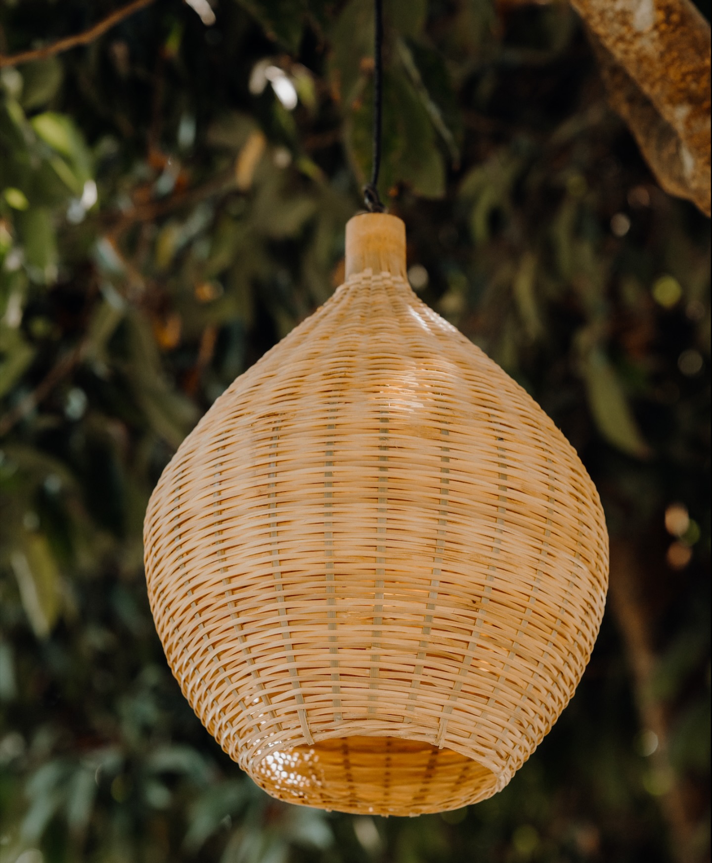 The Baboi Bird House Bamboo Ceiling Lamp brings nature’s grace indoors through expert craftsmanship and timeless design. Measuring 40cm in height, this versatile eco-friendly fixture transforms living rooms, restaurants, and intimate spaces with its warm, ambient lighting💡
.
#Bamboolamp #Sustainableliving #Ecohomedecor #Naturallight #Handcrafted #Minimalistdecor #Homedecor #Homeaesthetics #Tangail