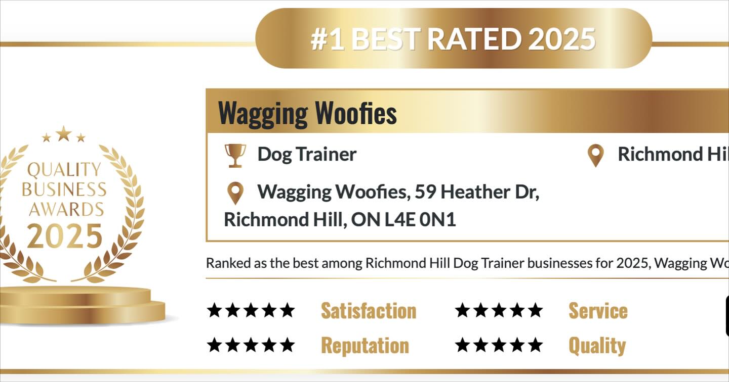 I was awarded best rated dog trainer in Richmond Hill by #qualitybusinessawards
#winning #dogtrainer #richmondhill #lifeofadogtrainer #businessawards