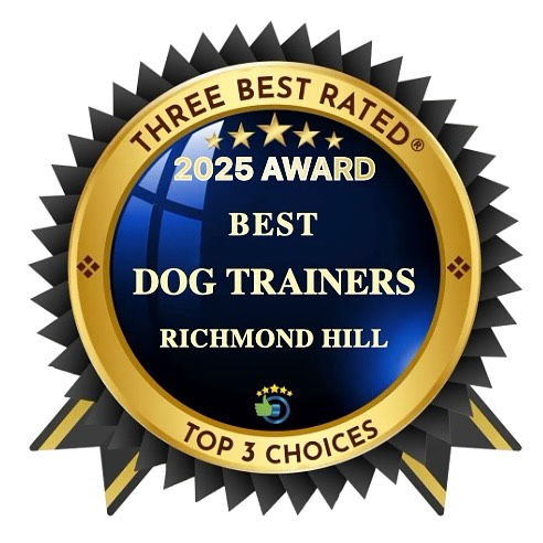 I was nominated Top 3 Best Dog trainers by @threebestratedofficial for Richmond hill
#winning #dogtrainer #lifeofadogtrainer #richmondhill