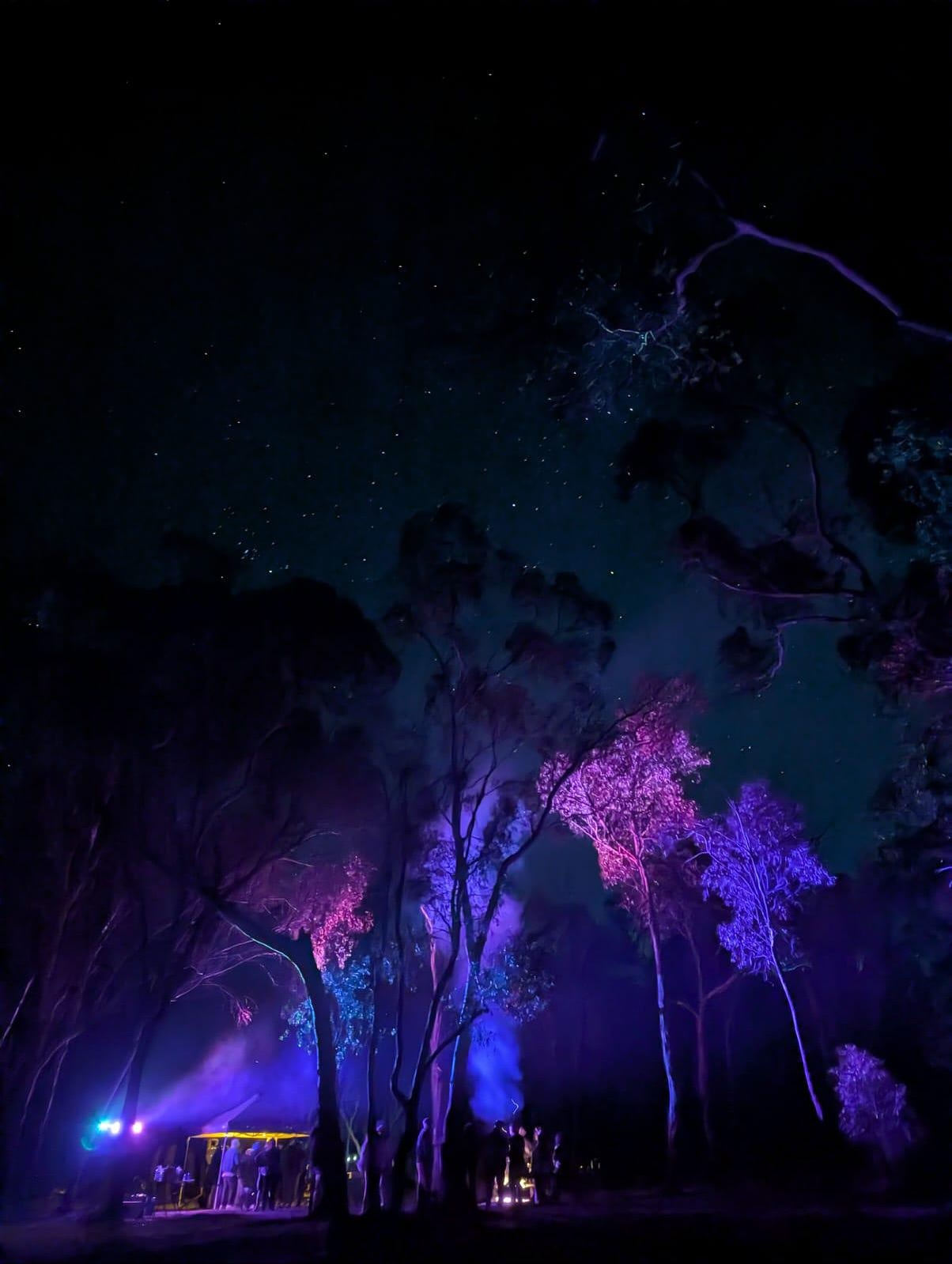 Doof season is here! 🏕️🥾🌳🍄🔮
we’ve got you covered with energy-efficient Audio, Lights, Gennys and more.
From small gatherings to full-power missions, check out our full range and level up your setup.
Are you throwing a bush party this summer?