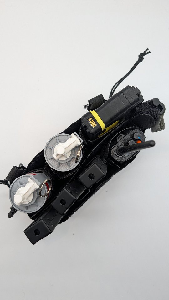 Same placard, different set up. Orion EVO got your back 🇨🇵