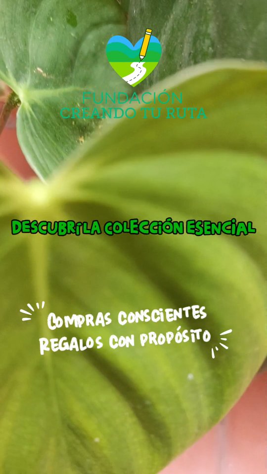Regala bienestar. Regala propósito.
Cada compra apoya todos los programas de Creando Tú Ruta. 🌿
PDTA: Las camisetas que ves en el vídeo también están disponibles.