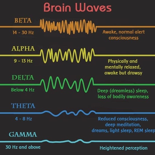 There is a clear correlation between respiration rate and brain waves, and it’s well-studied i....