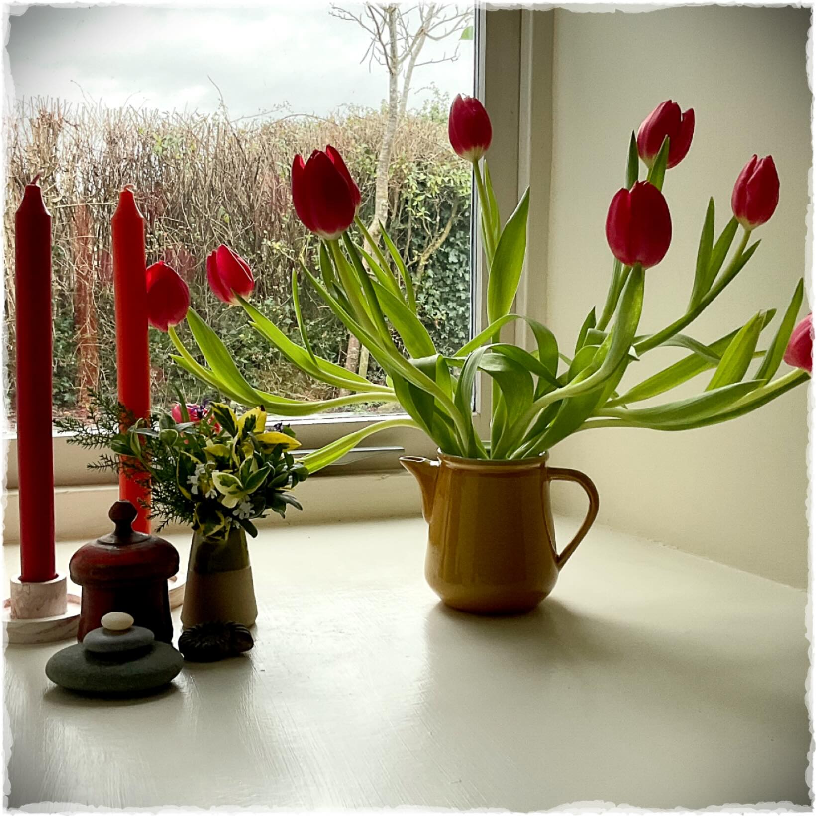🐾🌷
Enjoying a gentle afternoon in front of the fire with a book in my hand and a dog at my feet.
This is what I have been waiting for….🙏🏻
Also loving the architectural elegance of my gift-to-self £5 bunch of Lidl tulips on the windowsill. 🐾🌷
Enjoying a gentle afternoon in front of the fire with a book in my hand and a dog at my feet.
This is what I have been waiting for….🙏🏻
Also loving the architectural elegance of my gift-to-self £5 bunch of Lidl tulips on the windowsill.