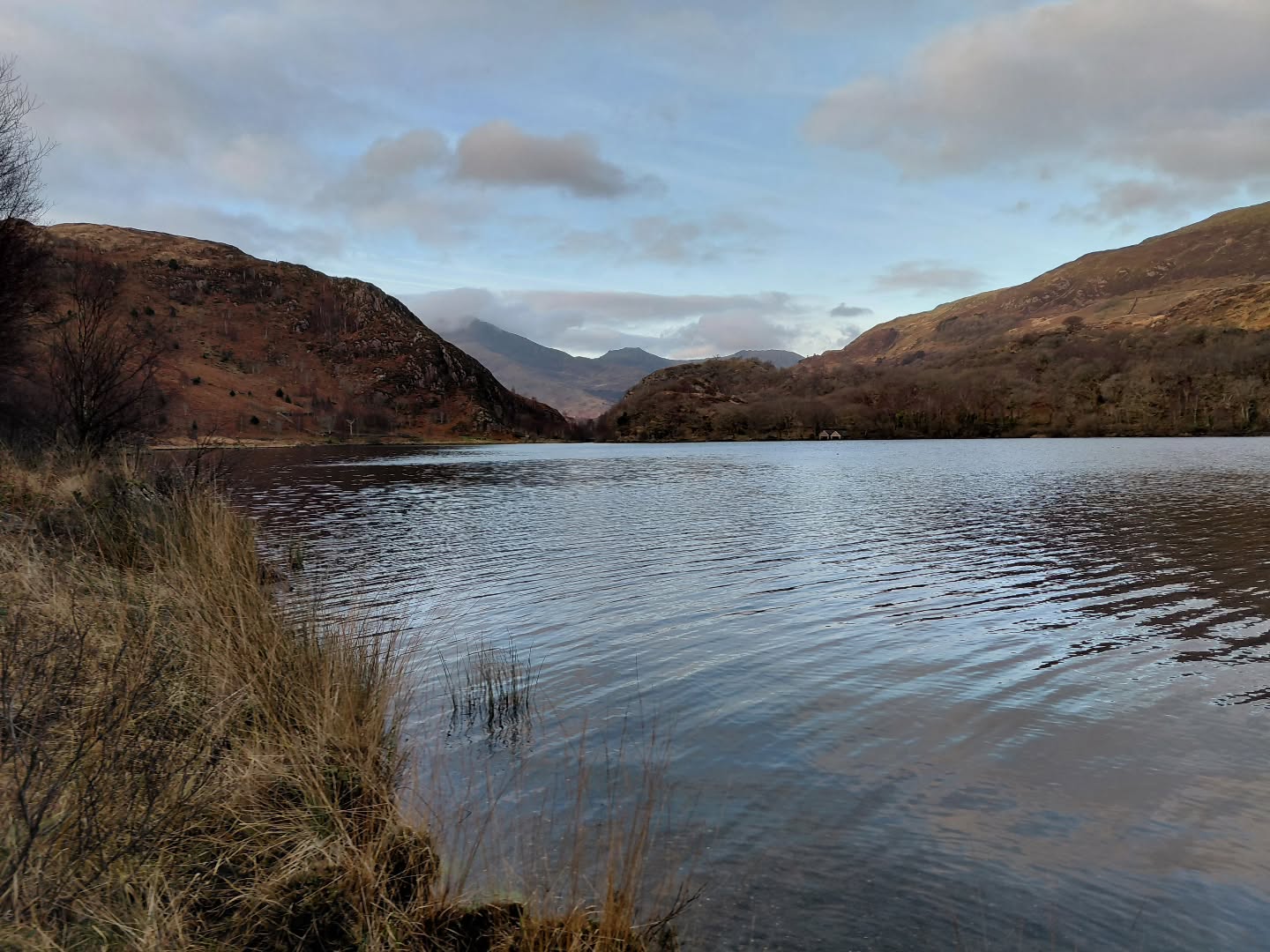 Am dro i Llyn Dinas 🐶🐾 Beautiful morning walk.
#winterwalks #amdro #llyndinas #nantgwynant #eryri
