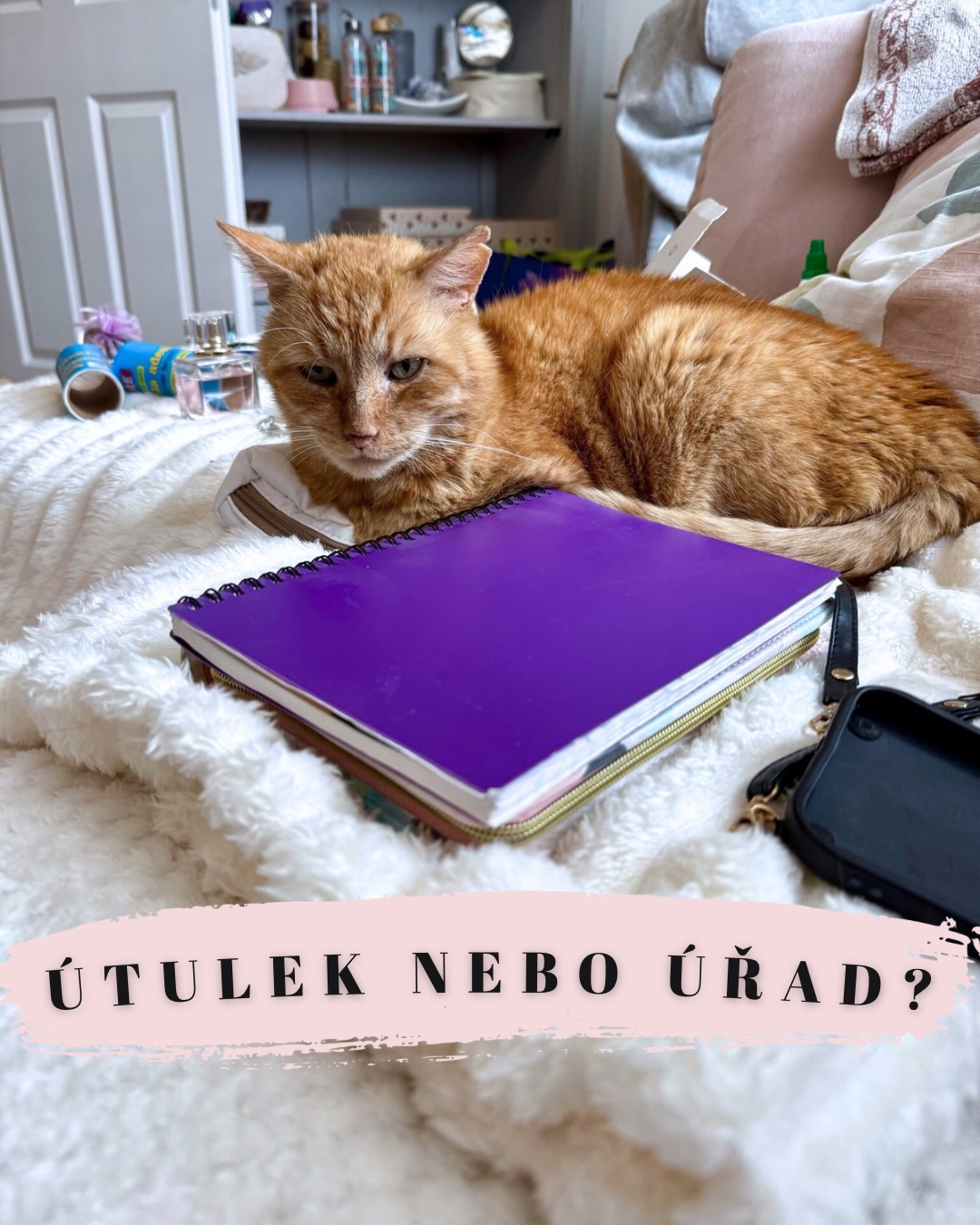 Lednová realita ve Šklíbě? Místo chlupatých hraček držíme v rukou šanony a kalkulačky. 🧮
Začátek roku pro nás totiž neznamená jen nové začátky, ale taky velké uzavírání toho starého. 📝 A věřte mi, dělat útulek pořádně, poctivě a hlavně legálně, to je někdy větší byrokracie než na magistrátu! 🏛️
Vezměte si takovou „Micinku“, co jsme našli na ulici. Pro vás je to roztomilý nalezenec, pro nás je to:
📄 Protokol o příjmu.
💉 Dokumentace o veterinární péči (každý úkon musí mít svůj papír!).
📁 Založení karty v evidenci.
🎫 Řádně označený a registrovaný očkovací průkaz.
...a to je teprve začátek!
Aktuálně se snažíme prokopat horou účetnictví, vystavujeme potvrzení o daru pro vás, úžasné dárce (brzy budou u vás! 💌), a finišujeme přehled fluktuace všech koček, co Šklíbou prošly. Do toho dáváme dohromady resty a dluhy, které si chtě nechtě neseme do roku 2026. 📉💔
Takže pokud nás teď chvíli neuvidíte s hračkou v ruce, je to proto, že bojujeme s tiskárnou a tabulkami v Excelu. 🙈 Ale nebojte, děláme to proto, aby Šklíba byla pevnou a legální jistotou pro všechny další kočičí duše, co nás budou letos potřebovat. ❤️
Přejte nám pevné nervy (a funkční kalkulačky)!😅
Terka ze Šklíby 🐾