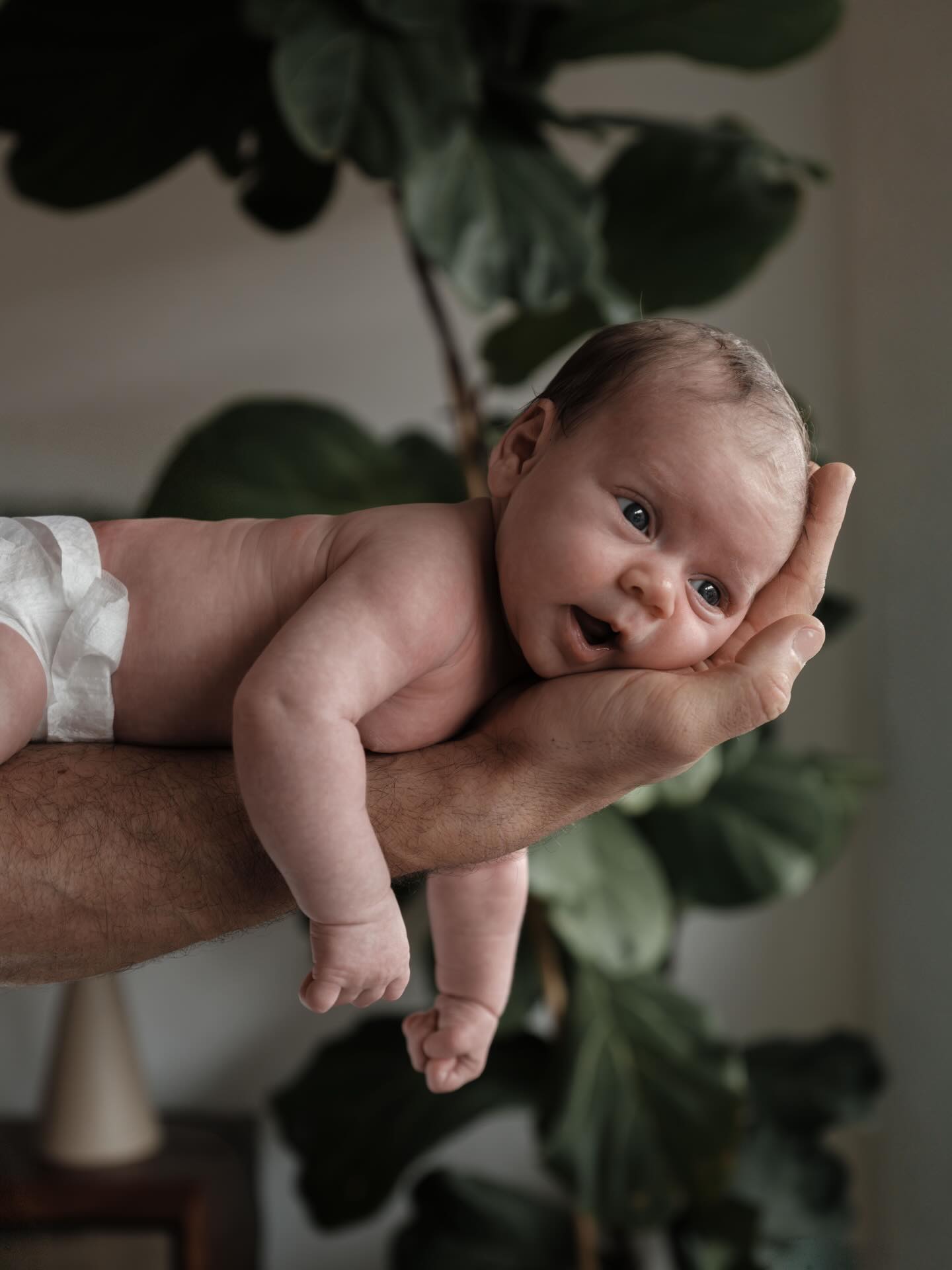 Er zijn eigenlijk 2 perfecte momenten om de newborn shoot te plannen, en hier is waarom: ⤵️
De meeste newborn shoots worden rond de twee weken na de geboorte gepland. Dat heeft natuurlijk het voordeel dat de baby dan echt nog veel slaapt en daardoor makkelijk te poseren is. Maar, och wat vind ik het toch geweldig leuk als ze al ongeveer een maandje / 6 weekjes zijn. Ze beginnen meer gezichtsuitdrukkingen te krijgen en kijken hun papa en mama al zo lief aan.
Echt iets om over na te denken dus! Wanneer zou jij je newborn shoot plannen?
#newbornfotografie #trouwfotografie #lifestylephotographer