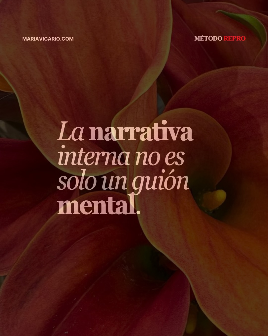 La mayoría intenta cambiar desde la mente y por eso fallan.
Tu “narrativa interna” no es solo la historia que “te pillás” contando.
Es un modelo predictivo que tu cerebro usa para anticipar el mundo y elegir respuestas, ajustándolo con experiencia y señales del cuerpo. Se llama procesamiento predictivo.
Por eso, podés querer algo con la mente y aun así repetir lo mismo con el cuerpo: el guión que manda es el que tu biología considera “seguro”.
Y acá está el resultado de mis clientes: REPRO descubre el relato pero Reprograma el protocolo completo (mente–emoción–soma–herencia) para que tu identidad nueva sea sostenible, no inspiracional.
Si estás lista para ese cambio, La Patrona es tu entrada. Comentá YO SOY y te paso la info.
#neuroplasticidad #narrativa #mindset #identityshift