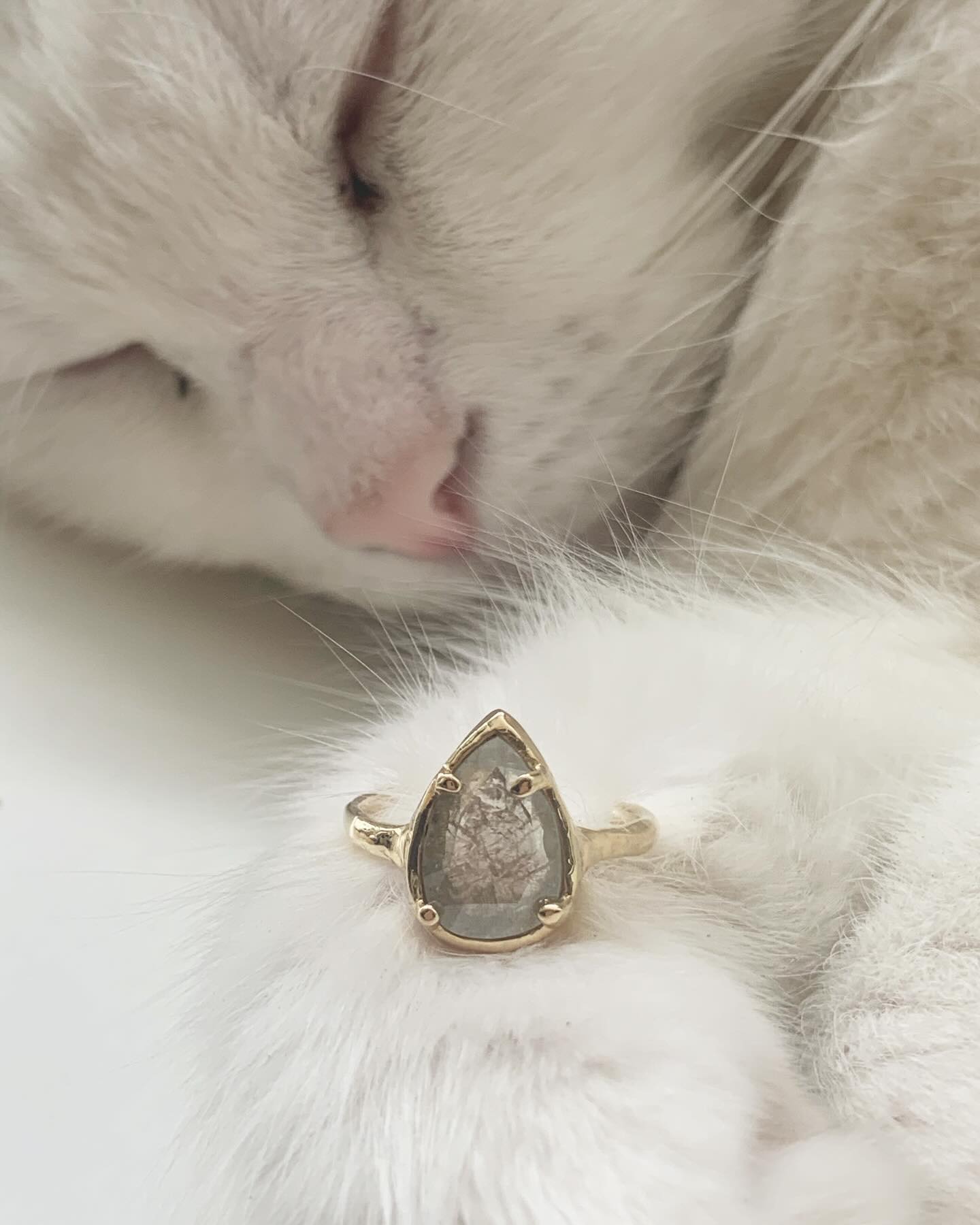 Bubastis, my VP of marketing tries on and approves all jewels around here 😻