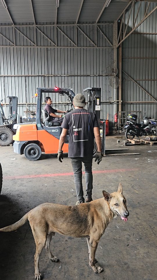You have entered a blind spot. Please stay away.
#bsforklift
#forklift
#stayaway