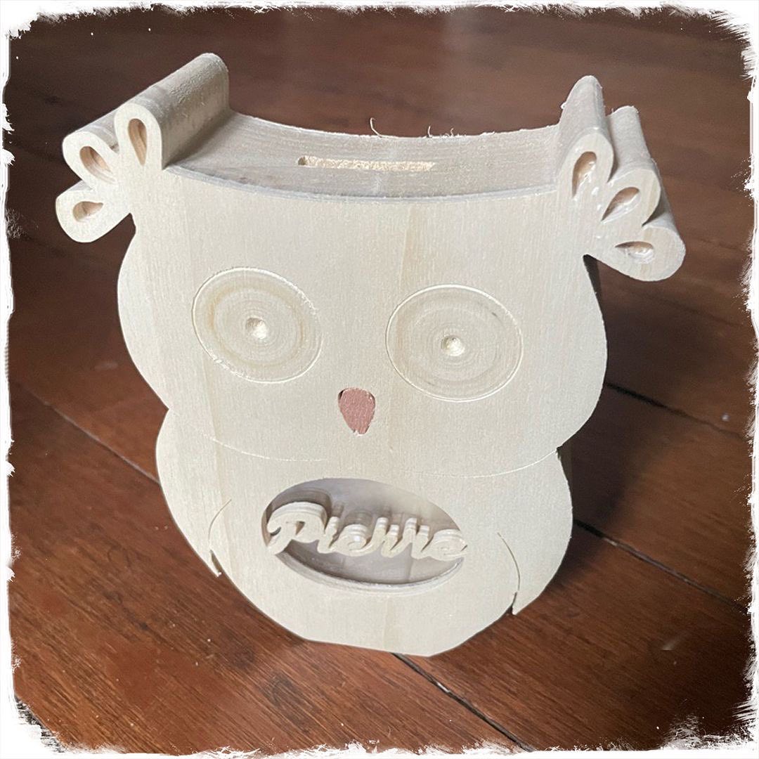 Elle est pas chouette ma nouvelle tirelire ???? #chouette #tirelire #hibou #jouetsenbois #artisanatfrancais