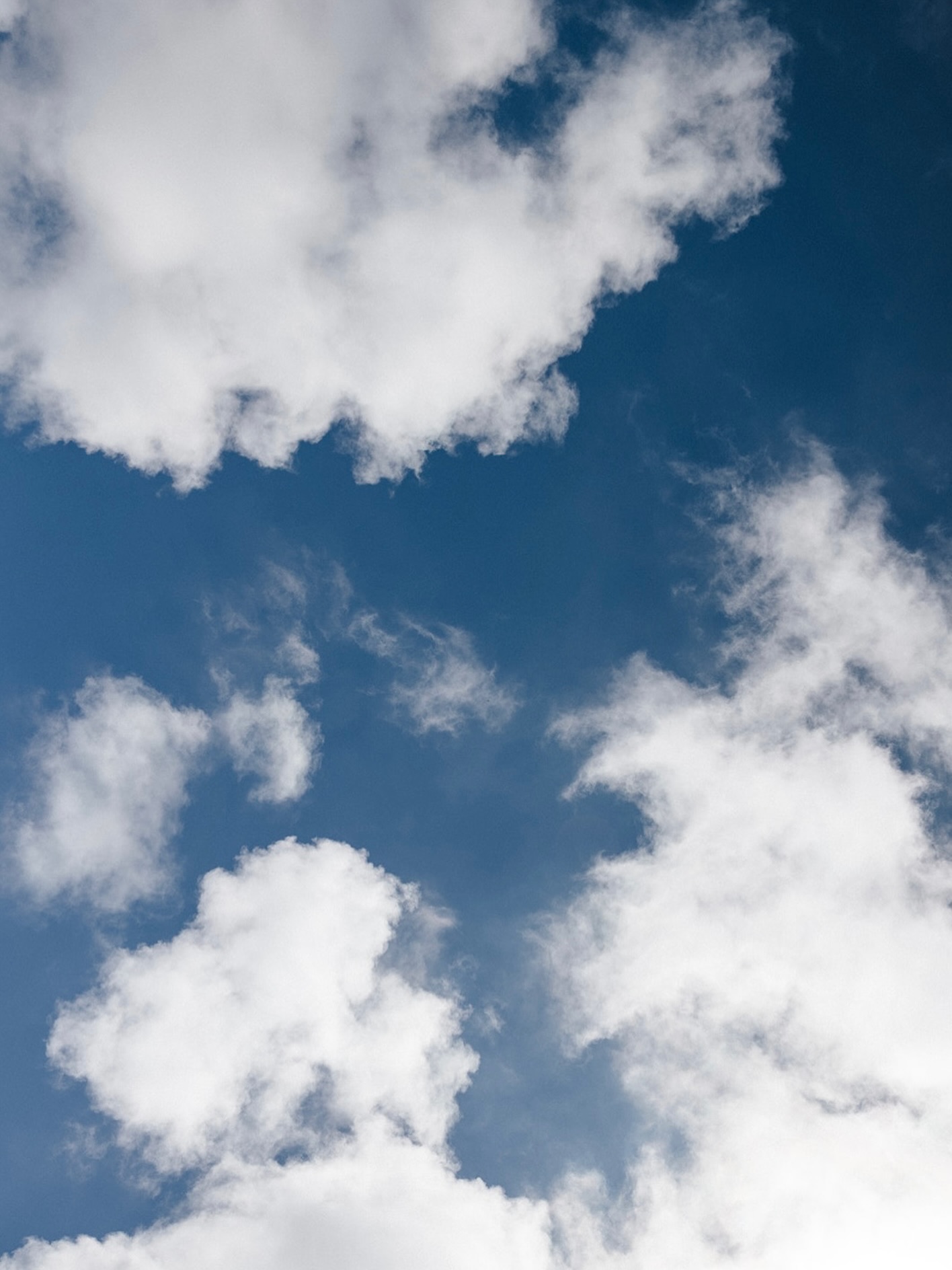 Cabeza en las nubes, 2026.