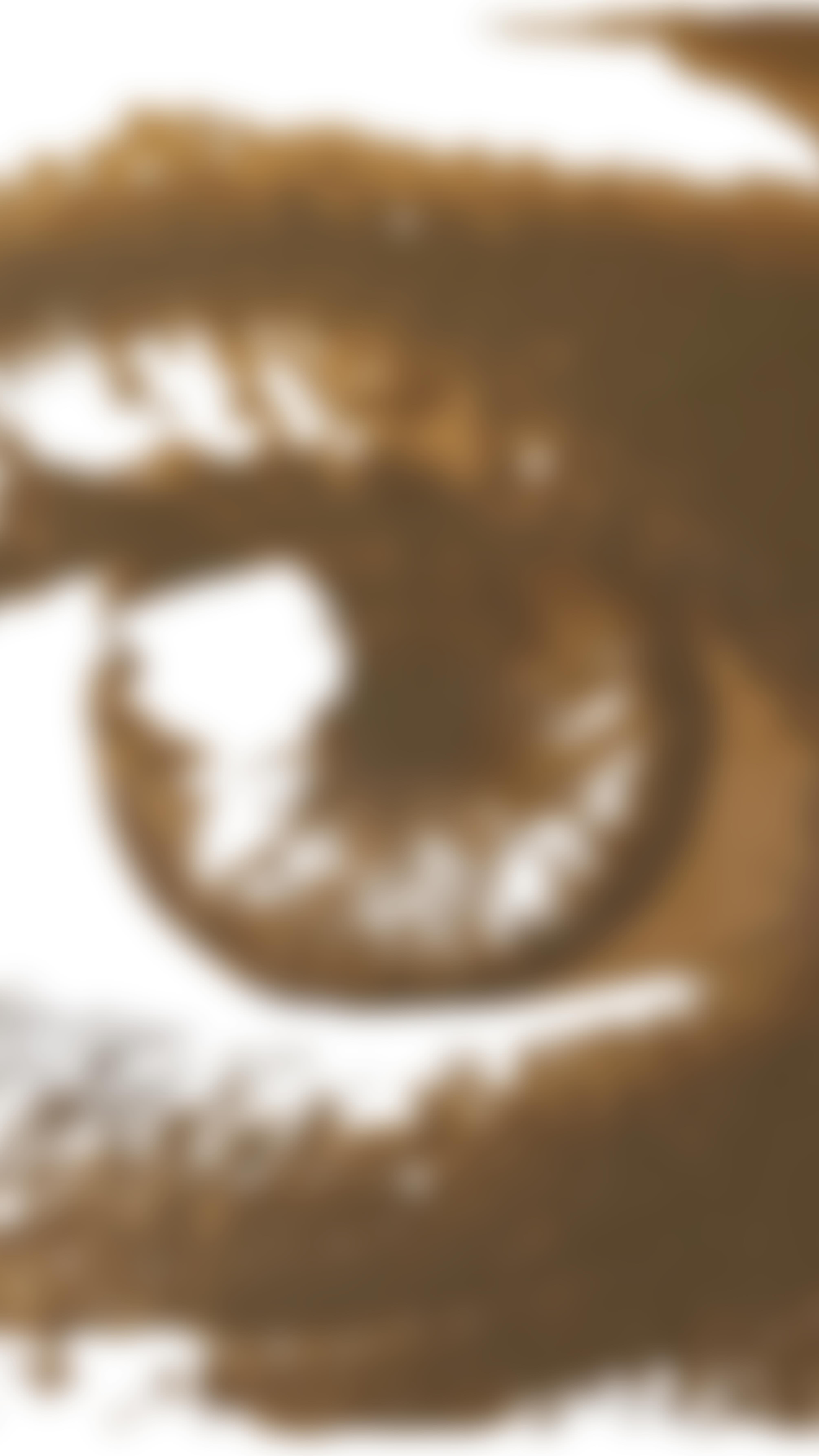 « Animalmitié »
110x110cm
Ruban adhésif de déménagement @3m sur Forex
.
L’aboutissement de nombreuses heures de travail mais surtout le prélude d’un fabuleux projet à venir avec @fredrenaudin
.
Tellement hâte de concrétiser et de vous en parler.
.
Restez connecté.e.s
.
#artcontemporain #tapeart #collage #paulinefillioux scotch