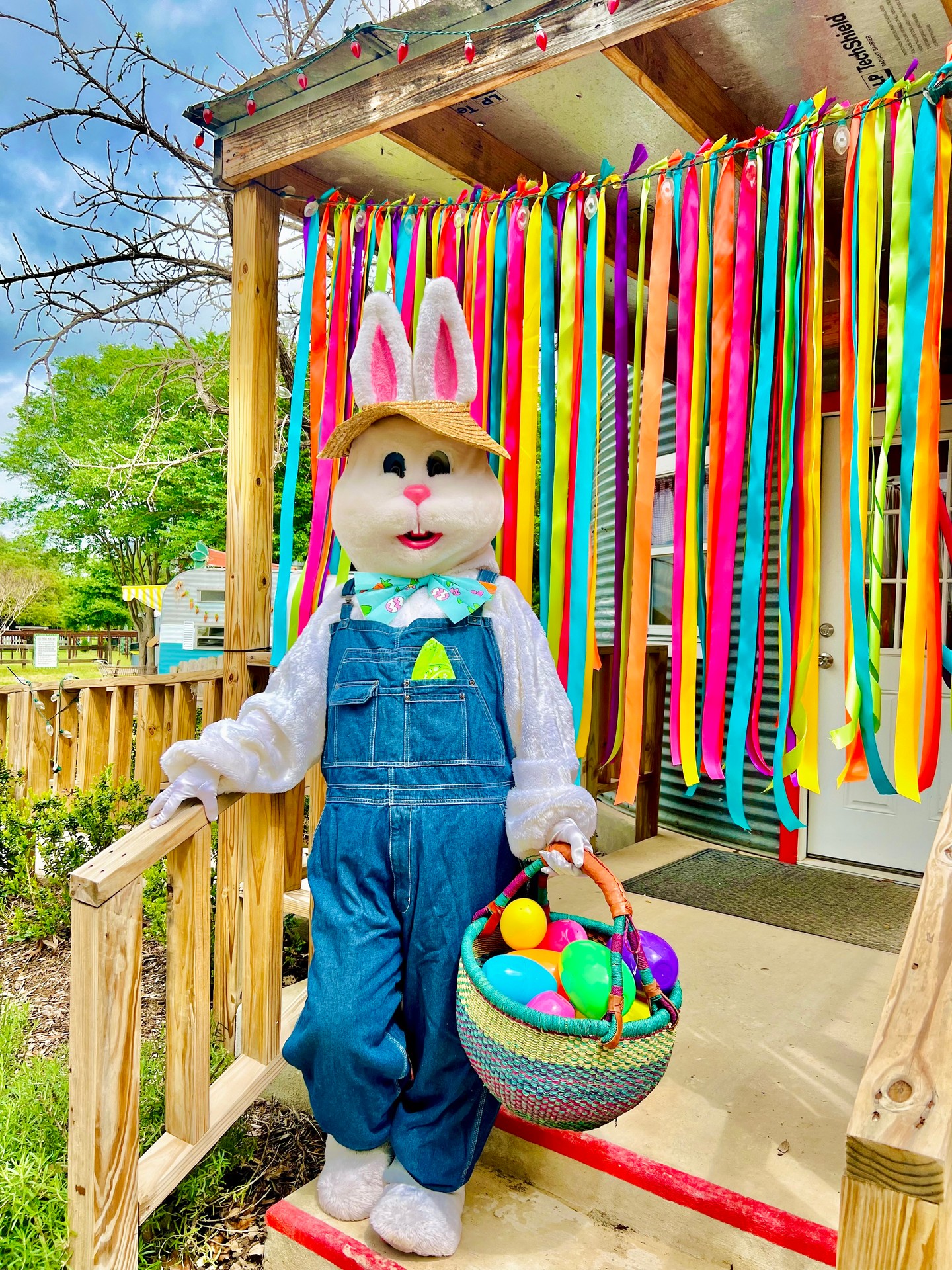 In just a few weeks, the farm is going to be bursting with vibrant spring colors, Easter-time activities, blooms and endless fun! ๐๐ฐ
Mark your calendars..
๐ผ Spring CountryFest: March 28, 29, April 3, 4
๐๏ธ Tickets go on sale March 23 at 8am
Sign up for sale alerts: devineacresfarm.com/newsletter