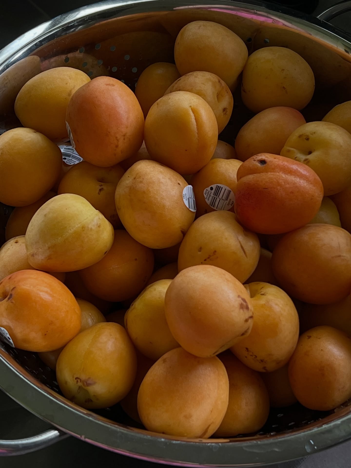 Have been prepping like crazy to start the year off with a pop-up!! Can’t believe we’re already back into the swing of things and it’ll be Easter before we know it!
To kickstart - I thought I’d giveaway a jar of Apricot Jam to the first person who is able to guess where my first pop-up of the year will be. Can either collect in person, or I’ll post to your address 🫶🏼
#brisbanefood #brisbanefoodie #australianmade #australianmadeandowned #condiment