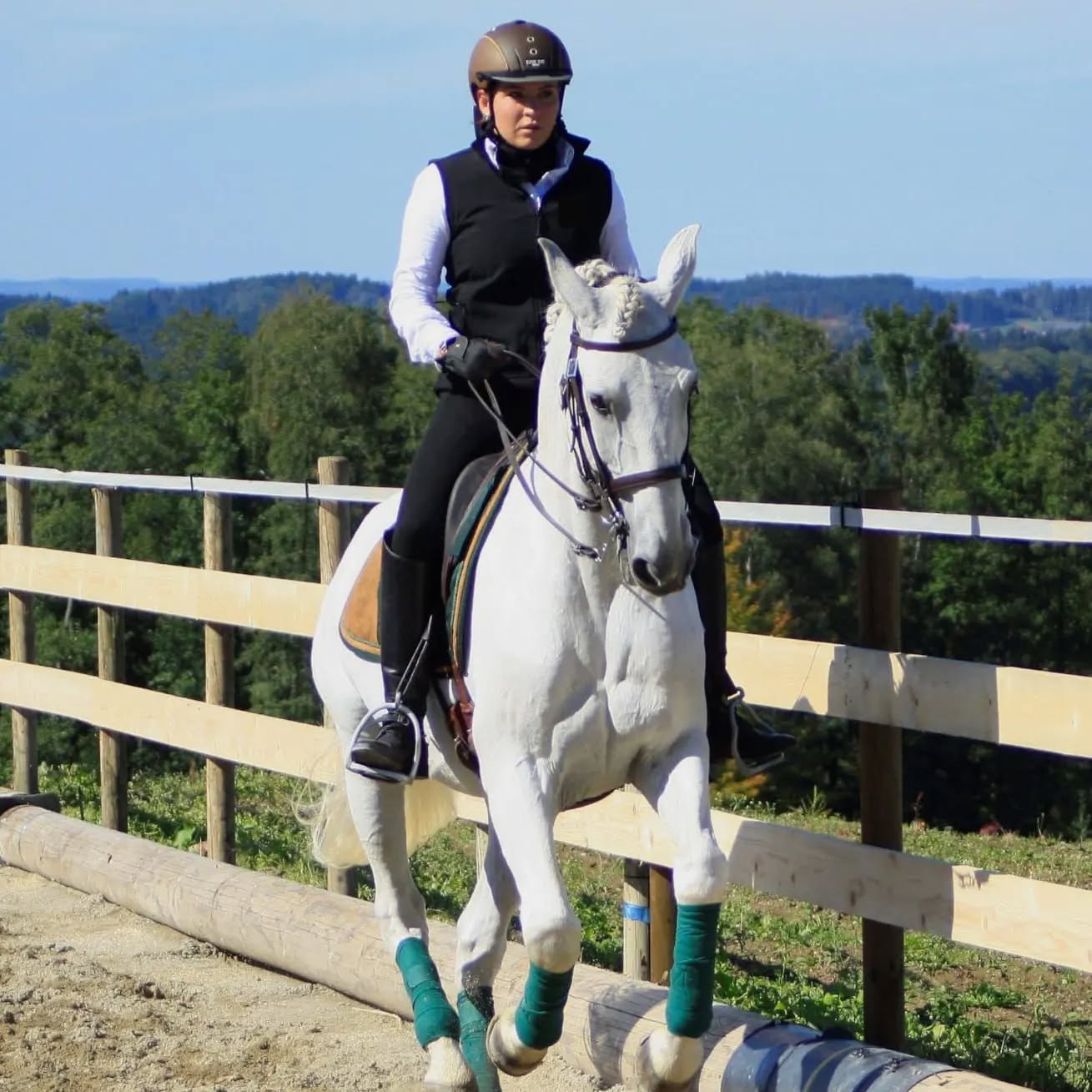 Endlich wieder Frühling☀️
An der frischen Luft und in der Sonne macht das Reiten soooo viel Spaß!🥰
Geht es euch da genauso?
#reiten #pferde #frühling #sonne #lebensfreude #besterjob