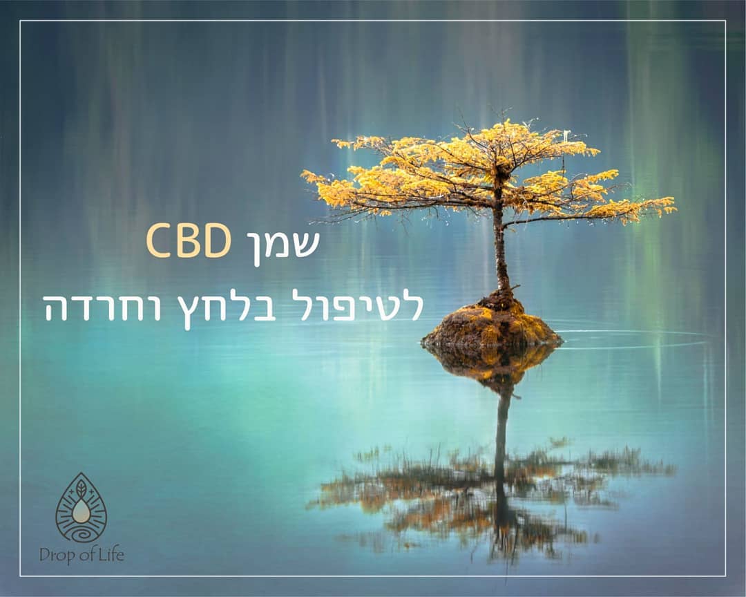 רמת החרדה בזמנים כאלה היא גבוהה,
צפייה ממושכת בחדשות והתעסקות תמידית במצב הנוכחי גורמת לחוסר וודאות ותחושת בלבול. 🤯
ובנוסף הדאגה להורים ולסבים שלנו מוסיפה לא מעט לתחושת הלחץ. הם הכי פגיעים ואנחנו לא יכולים להיות לצידם.
בימים כאלה אנחנו הכי כמהים לקרבה של המשפחה.
אחד השימושים הפופולריים ביותר בשמן CBD הוא לטיפול בחרדה ודיכאון
מחקרים מראים שהסיבידי יעיל נגד חרדה.
הדרך העיקרית שבה הוא מסייע היא באלחוש הפעילות החשמלית בחלקים מסוימים של מערכת העצבים והמוח, כמו למשל ההיפותלמוס (מרכז הפחד של המוח) ומצמצם את אספקת הדם המוזרמת אליה, מה שגורם לפעילות מופחתת באזורים אלו.
הסיבידי בנוסף משרה אפקט של הפגת מתח בשרירי הגוף.
הוא מרגיע במקביל את המוח ואת הגוף וכך רמת המתח או החרדה יורדים, איכות השינה משתפרת וגם המצב הרוח. 🙌
אם אתם מרגישים את תסמיני החרדה או דיכאון בהחלט שווה לנסות את השמן. הוא מהווה טיפול טבעי מצוין לסימפטומים הנובעים מאורח חיים שאינו רגוע.
אנחנו פה כדי לתת מענה עבור אלה.
מוזמנים לשתף, לחקור את הנושא ולהתייעץ איתנו.
www.drop-oflife.com (הרכישה באתר היא טלפונית למספר למטה 👇) לייעוץ ורכישה -
0552546521
רפואה שלמה לכולנו 💧🌿❤