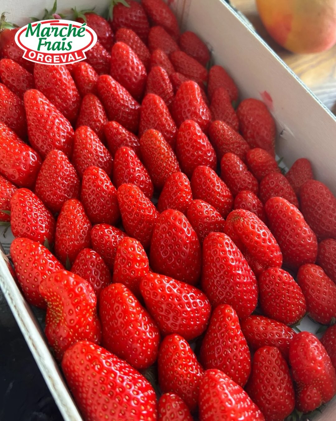 đ Les premiĂšres fraises arriventâŠ
Rouges, parfumées, délicatement sucrées⊠les fraises font doucement leur grand retour.
Au Marché Frais Orgeval, on aime les choisir pour leur goût avant tout.
Parce quâune bonne fraise, câest celle qui sent bon⊠avant mĂȘme de la goĂ»terđ
Vous les préférez comment ?
Nature, avec de la chantilly ou dans un dessert maison ? đ
#fraise #printemps #recettemaison #goodfood #marchefraisorgeval yvelines