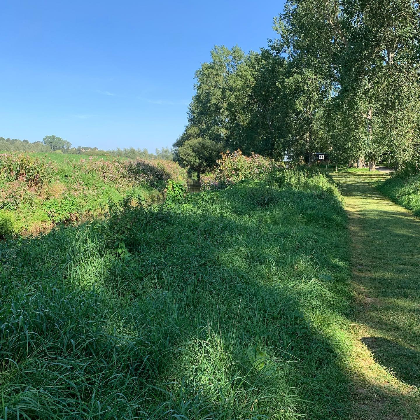Sitting by the beautiful River Rother at Bodiam. A glorious castle to visit, a peaceful river to walk beside or paddle up (or down!) and a steam train to ride on as well. Lovely places to stop for a drink and something to eat 😋what more could you want? #castlemanscottages #holidaycottage #selfcatering #staycation #dogfriendly
#escapetothecountry
#eastsussex
#visitsedlescombe #visiteastsussex #visitkent #1066country #bodiam_castle #teamepiclife #kentandeastsussexsteamrailway #bodiam_boating_station
