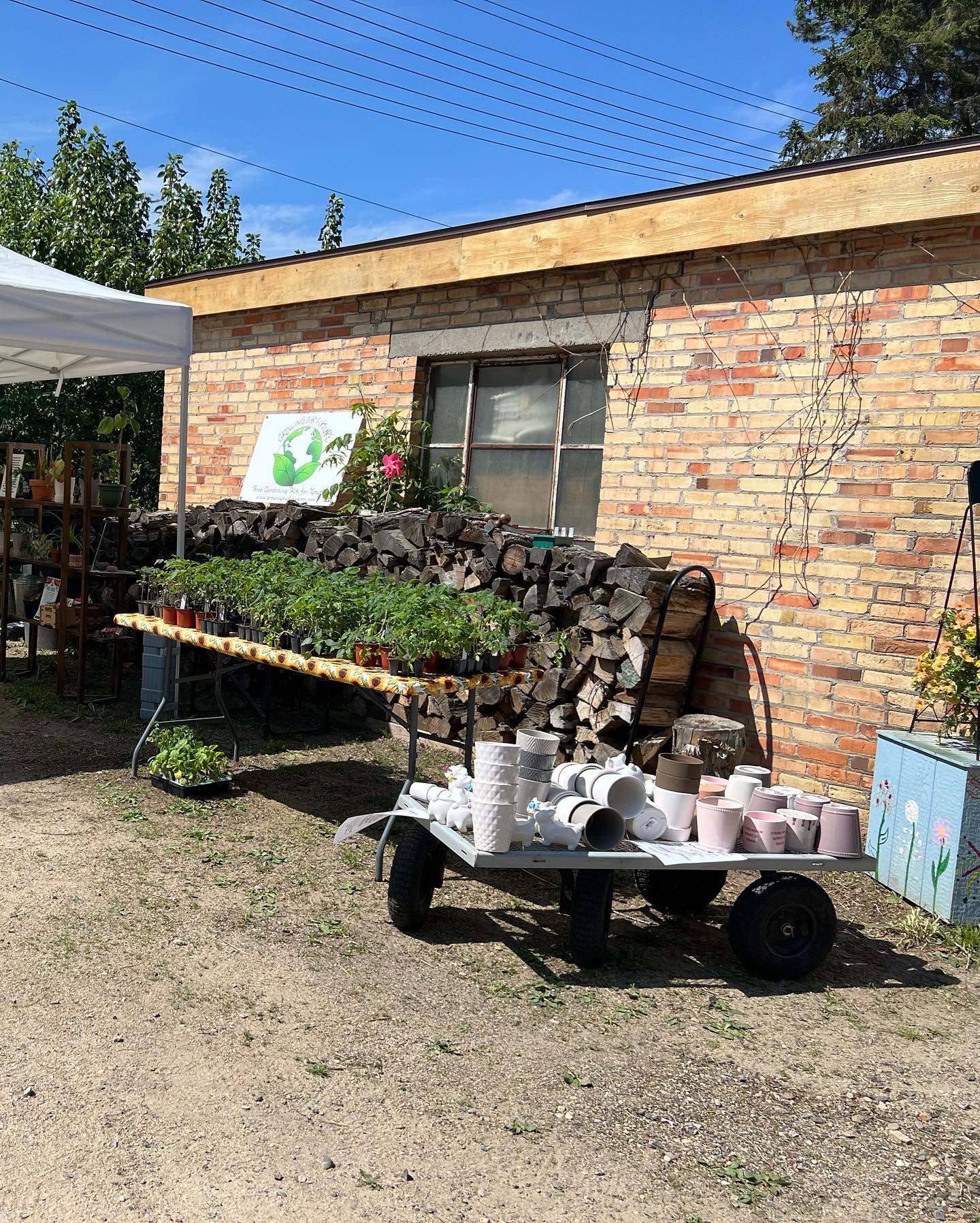 Our plant sale fundraiser goes from 11-4:30 today at @wildflowercottageshop located at 4905 Bemidji Ave N. All seedlings are grown organically and without fertilizer, which makes for an extremely healthy plant.
We have numerous different types of vegetable seedling, including various pumpkins, cucumbers, gourds, and squash, beans, peas, cabbage, broccoli, tomatoes, peppers, eggplants, and herbs. We also have Onion sets, tulip bulbs and hyacinth bulbs available.
We have some unique hot peppers, that aren’t sold anywhere else locally, as well.
We hope you can make it by to check us out!!
•Follow us!
•A Bemidji-based Nonprofit catering to area youth.
•Volunteer and Women Led
•100% Donation Funded
•Turn on Post Notifications and Like, Comment, Share!
•
.
.
#ediblegarden #flowersofinstagram #flowerstagram #garden #gardendesign #gardener #gardenersofinstagram #gardening #gardeningismytherapy #gardeninglife #gardeninglove #gardeninspiration #gardens #gardensofinstagram #greenthumb #growyourownfood #houseplants #indoorplants #instagarden #kitchengarden #lovegardening #organic #organicgardening #plant #tasteforthearts23
#bemidjimn #bemidji #bemidjiminnesota