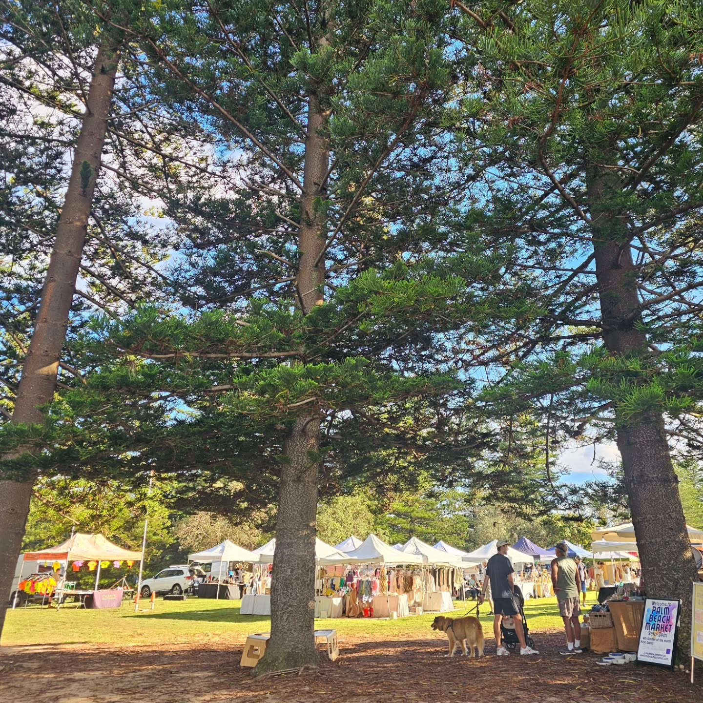 Beautiful start to a Sunday Market
@palmbeachmarketau today til 3pm