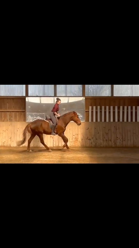 Freiheit ist kein Ort - es ist ein Gefühl ✨️🐎
#horsesofinstagram #lusitanosofinstagram #motivation #horsemanship #horseriding