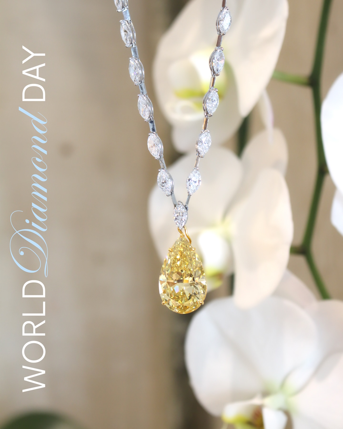 We’ve always loved color. We’ve always loved natural diamonds. But every so often, something truly extraordinary passes through our doors and it stops us in our tracks.
In celebration of #WorldDiamondDay, the Deja & Co. team is in awe of one of the remarkable diamonds we’ve had the privilege to witness. Natural diamonds aren’t just beautiful, they’re miracles of time and nature. Did you know they can form in a spectrum of colors? Fancy Yellow Diamonds, for example, owe their radiant glow to the presence of nitrogen in their chemical makeup.
It’s hard to put into words the wonder we feel each time a diamond of this caliber finds its way to us, formed over millions of years, and now held right before our eyes.
Come experience that sense of awe with us.
#NaturalDiamonds #WorldDiamondDay