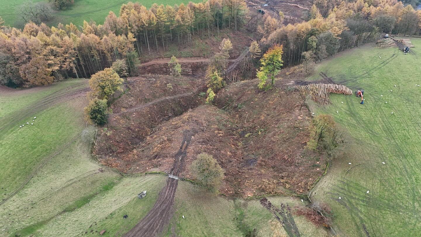 The SPHN larch felling job continues. The weather is holding out for us, although the site is very challenging with steep terrain and poor access. The contractors are doing an amazing job working with the tenants, weather and not extracting timber across the fields until conditions are favourable. The photos don’t do the terrain justice.