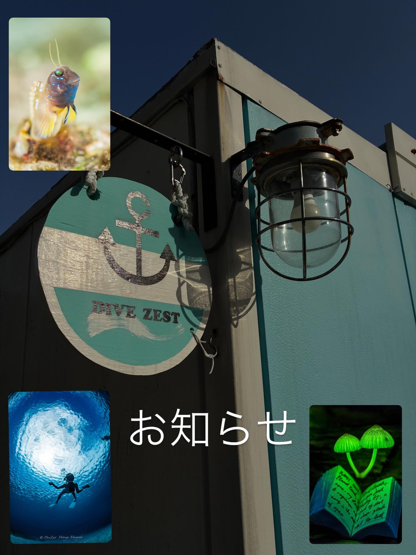 4月より
最近は値上げの話ばかりですが――
当店は逆をいきます。
メインメニュー、思い切って値下げしました!
「せっかく来ていただくなら、思いきり遊んでほしい」そんな気持ちを優先して、この決断にしました。僅かですが気持ちで勝負っす!!
なお、その他のメニューについても現時点での値上げは行いません。
もちろん、経費面は正直かなり厳しいです。
それでも、前年の利用状況などを踏まえながらメニューを見直し、副業(潜水)増やし、なんとか踏ん張っていきます。
シーズン中はこれまで以上に全力投球でいきます!
これからも、気軽に遊びに来られて「やっぱりここいいな」と思ってもらえる場所であり続けます。
ぜひ、思いきり遊びに来てください!
変更点
スキンダイブ メインをボートとします
2ボートスキンダイブ値下げ! ウエットスーツレンタル値上げ
タイドプール休止
光るキノコ他変更なし
#ダイブゼスト