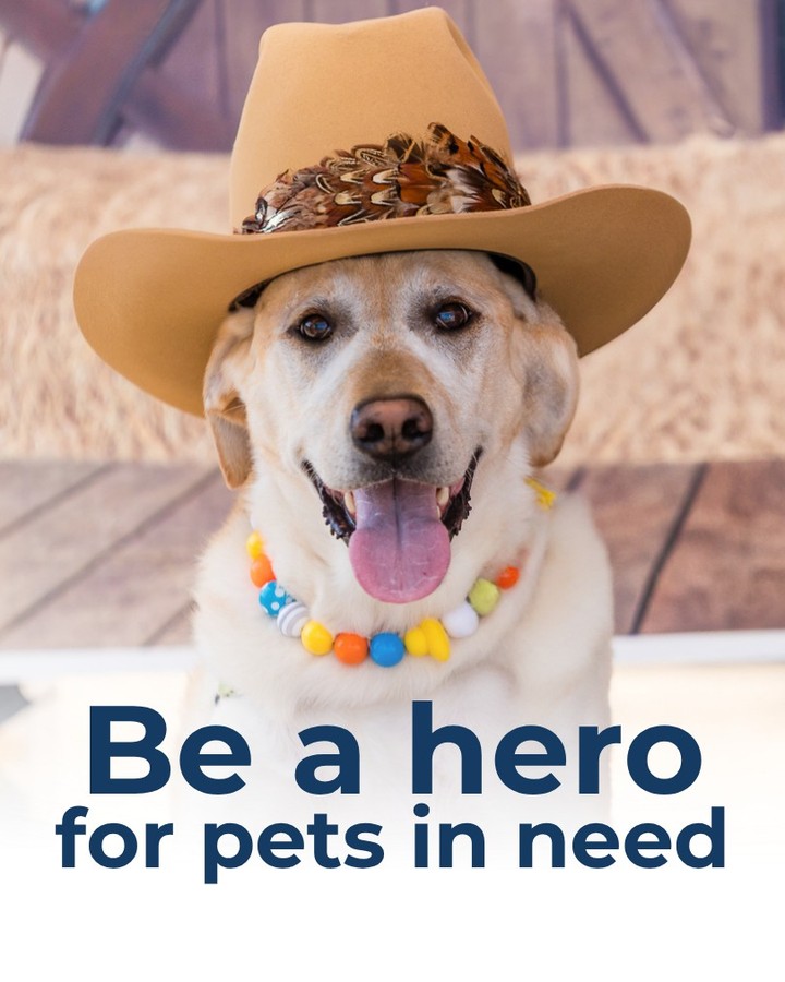 🐾 Ready for Mission Paw-looza? It's all about the pets! 🐾
We can't wait for you to join us for furry fun, music, and community spirit on Saturday, May 16! Let's celebrate our bond with our pets together!
Want to help even more? You're invited to become a peer-to-peer fundraising hero for Mission and raise money to help more pets get the lifesaving veterinary care they need. (no pressure, we're just thrilled to have you join the paw-ty!)
https://mission-pawlooza-2026-peer-to-peer-fundraising.raiselysite.com/signup (Link in Bio)
