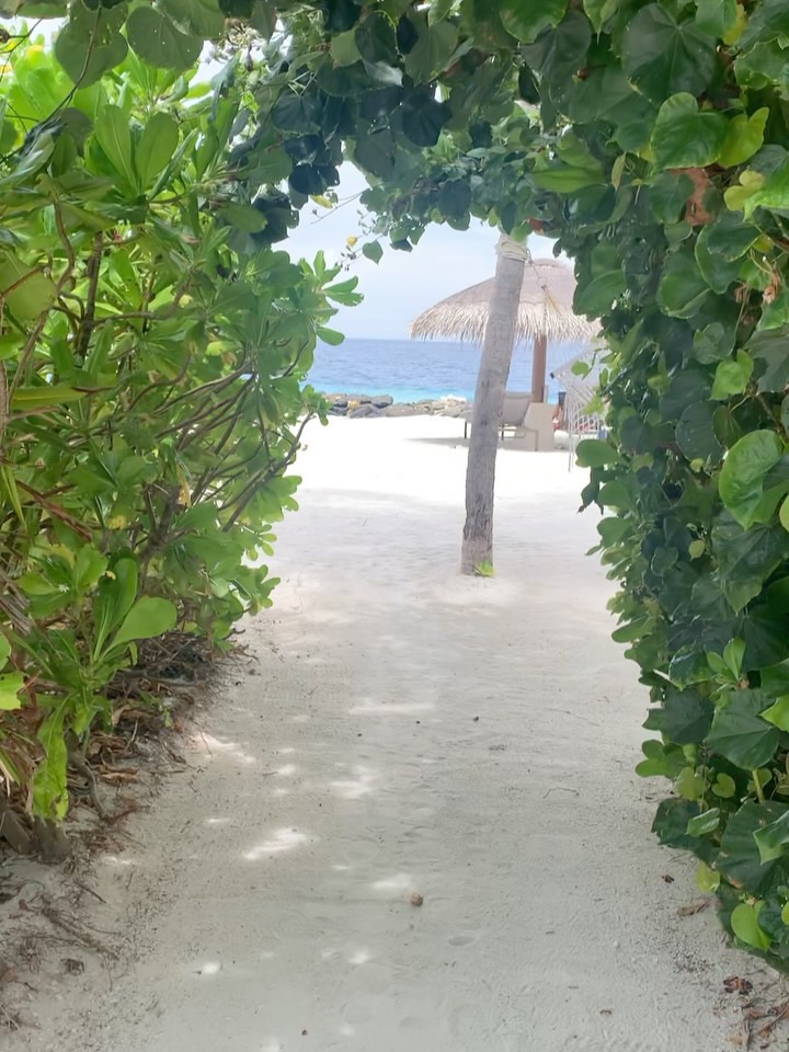 Monday mood! One is already working on today’s writing session from the Maldives, and one is powering up to do the same in Stockholm. 🙃