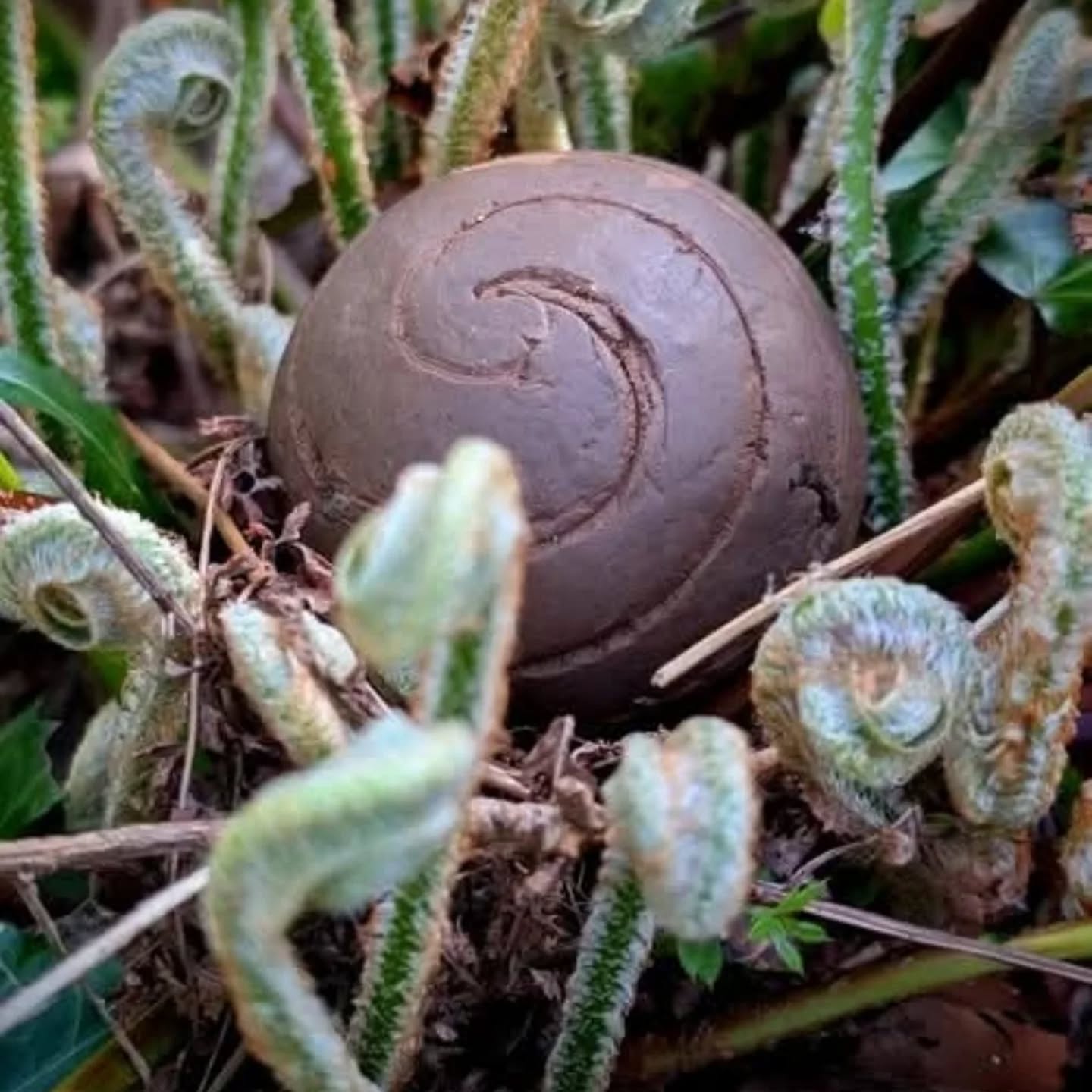 What a joy to receive these beautiful photos from the Homage to Ash workshop which @pom.stanley and I did at the @aberlleiniogsculpturetrail . Many Thanks to @plasbodfa for organising such a splendid event and for the lovely participants who joined us for our workshop, and to Ash of course for all her wisdom and to Aberlleiniog clay. Its lovely to have someone take photos at a workshop, thank you @curlyhairedgirl_cymru .