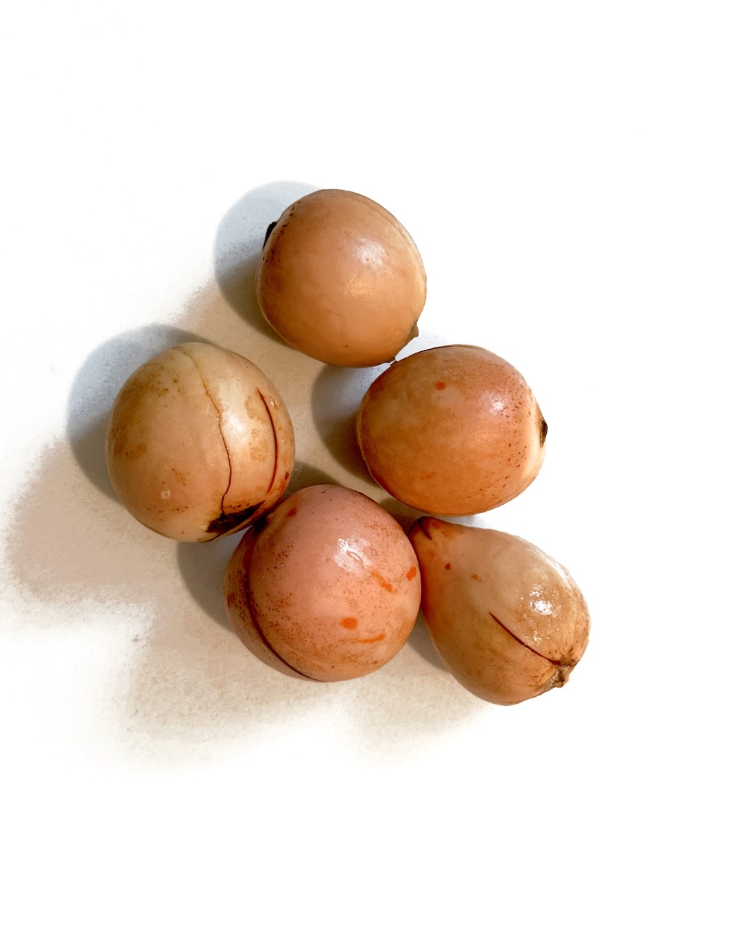 These unique bricks are crafted from discarded avocado seeds, a sustainable and eco-friendly material repurposed from a Mexican restaurant. Avocado Seed Bricks by @mattermatters_lab
/ More at MaterialDistrict.com
#MaterialoftheDay #Materials #BiobasedMaterials #Architecture #InteriorDesign #ProductDesign