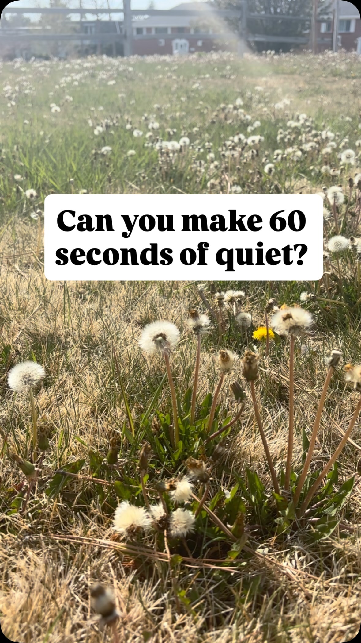 What can we hear when we quiet our minds, bodies, and spirits?
#aquietrevolution #highlandspcwy #cheyennewy #prayer #christianmeditation