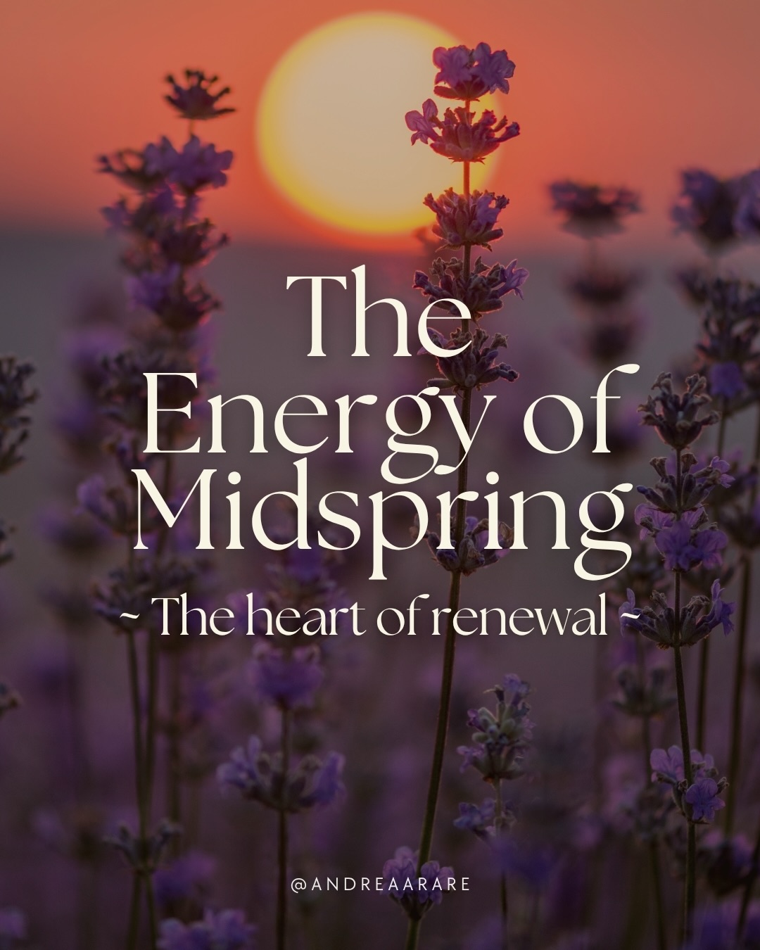We now stand halfway between the Spring Equinox and the Summer Solstice. 🌻✨
The days are noticeably longer, and the sun sets much later now. Now, nature sings it aloud: blossoms, growth, color, vitality.
🍃 Around this time, many Earth-based cultures celebrate Beltane, a festival of fire, life, and connection to the land.
Traditionally, bonfires were lit to bless the land, animals, and people, weaving magic and intention into the season of growth.
Mispring invite us to recognize where our own creative energies are blossoming, to honor what is flourishing within and around us.
Swipe ➡️ to learn more about the energy of this season!
#spring #summersolstice #cyclicalliving #wheeloftheyear