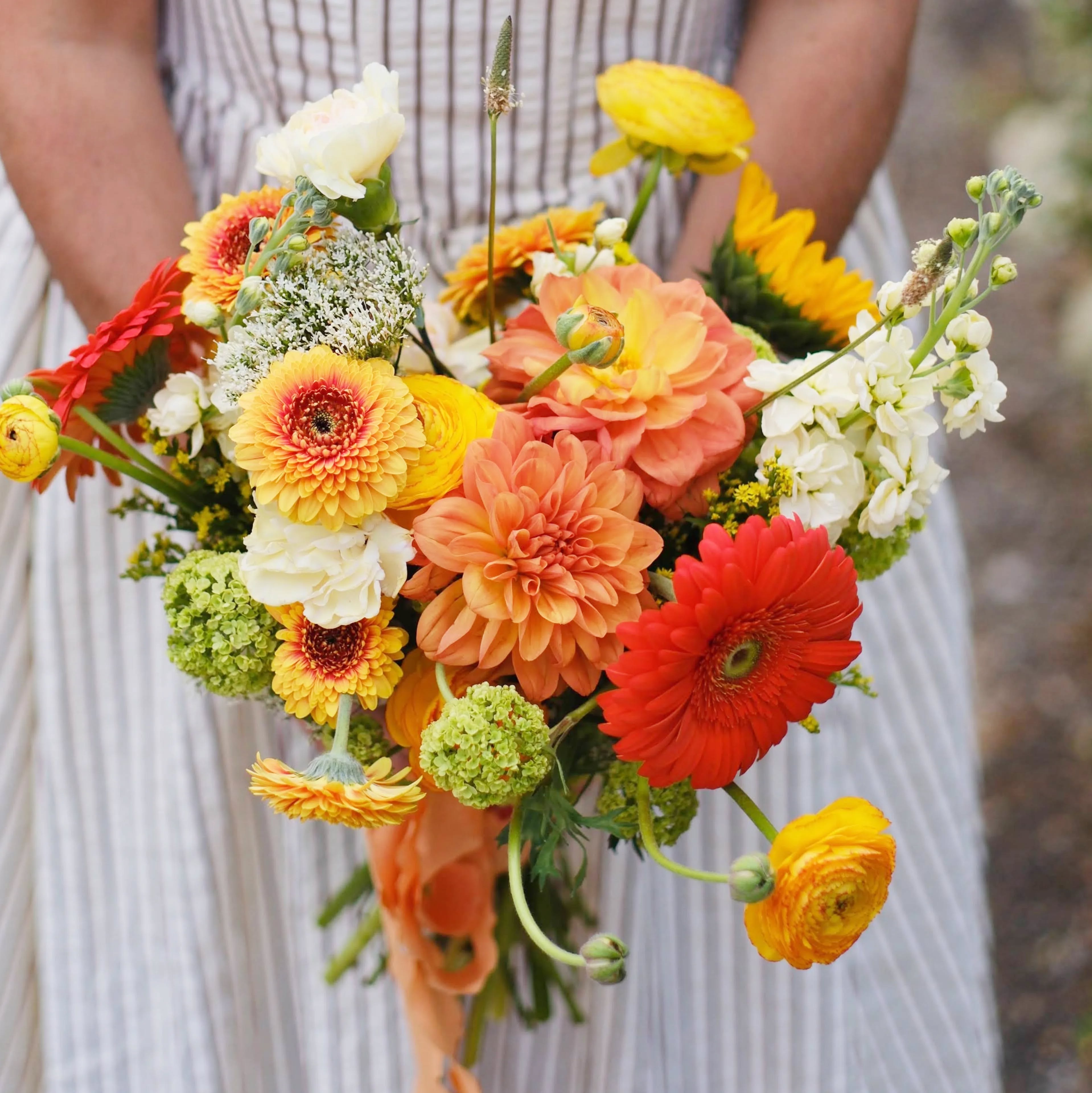 Ouverture de la saison avec un petit mariage au @chateaugrandboise à Trets avec @provencelocationmariage . Dans ce bouquet très Champêtre à la palette orange jaune et verte : des Renoncules, Dahlias, Giroflees, Pois de senteur, Viburnum, Trachelium, Tournesol, œillets et Germini.
Photos @julieetvictor_photographer
