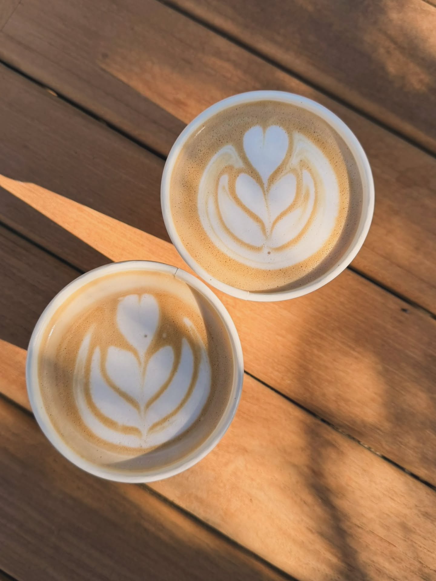 Turn your backyard into a natural oasis and create unforgettable moments with family and friends. Bring Fiesta Espresso Bar to your next gathering — and let the celebration begin.
#fiestaespressobar #summerideas #summerintoronto #BackyardCelebrations #partyideas