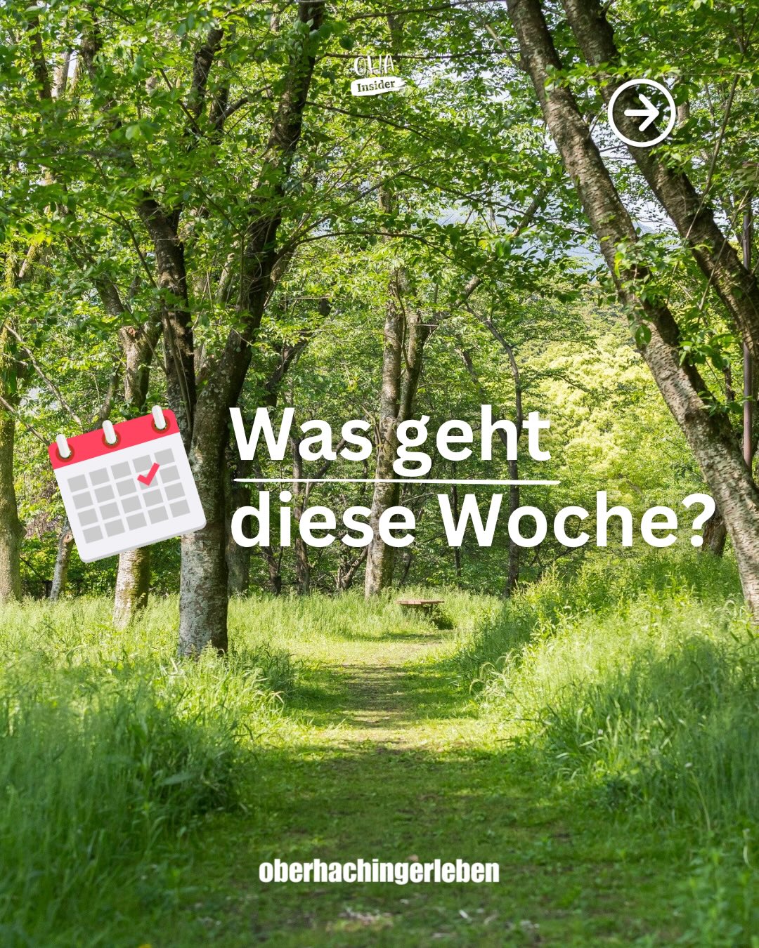 ✨ Wir starten in eine neue Woche!
Neue Chancen, neue Ziele & ganz viel Motivation 💪
Was habt ihr diese Woche so geplant? 👀👇
#wasgeht #wochenkalender #veranstaltungenoberhaching #gewerbeverbandoberhaching #ohainsider