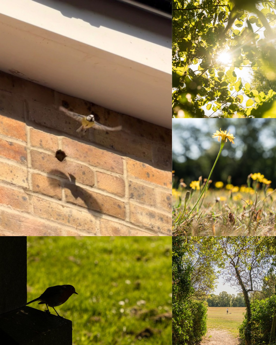 Someone's already moved in at Bell Lane, our exclusive new development in the desirable Hertfordshire hamlet of Bell Bar, Brookmans Park. 👀
We know that's a good sign and are pleased to see our ecological enhancements are being put to good use already.
As part of our commitment to building homes that work with nature and the local wildlife, every plot at Bell Lane has been designed with ecology and habitats in mind — from bird and bat boxes to a bug hotel, habitat log piles and hedgehog routes built into the fencing.
If you’d also like to call Bell Lane home, Plot 1 and 2 are now selling.
✨ Four bedrooms
✨ Private study
✨ High-end finishes
✨ Spacious gardens
✨ Flexible layouts perfect for family life
Speak to Lawrence at @statonsestateagents today to arrange your viewing.
07825 437 676
lawrence@statons.com
#BrookmansPark #HertfordshireHomes #NewHomesHertfordshire #FamilyHomes #PropertyForSaleUK #NewBuildHomes #NewHome #NewHomes #NewBuild #NewBuilds #Hertfordshire #ModernLiving #ModernHome #DreamHome #SustainableLiving #NewHousingDevelopment