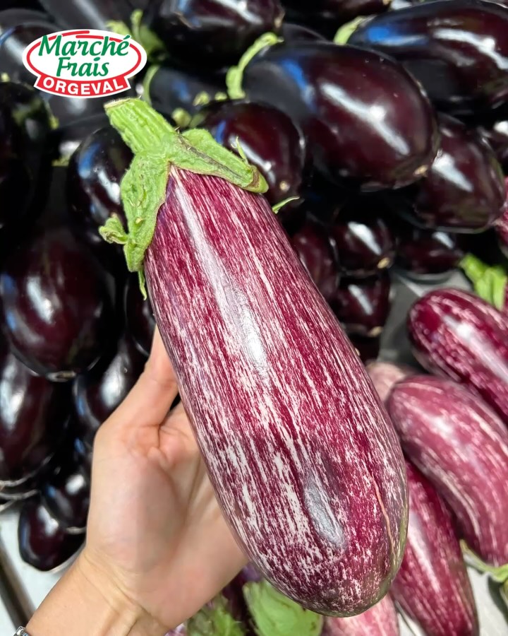 Lâaubergine zĂ©brĂ©e đ
Un légume aussi beau que savoureux avec sa peau violette délicatement striée de blanc.
Plus douce et moins amĂšre que lâaubergine classique, elle est idĂ©ale pour les recettes dâĂ©tĂ© : au four, grillĂ©e au barbecue, en poĂȘlĂ©e ou en caviar dâaubergine âïž
De quoi mettre de la couleur et du soleil dans vos assiettes đ
#marchefraisorgeval #aubergine #instafood #yvelines orgeval parmigiana mangersain