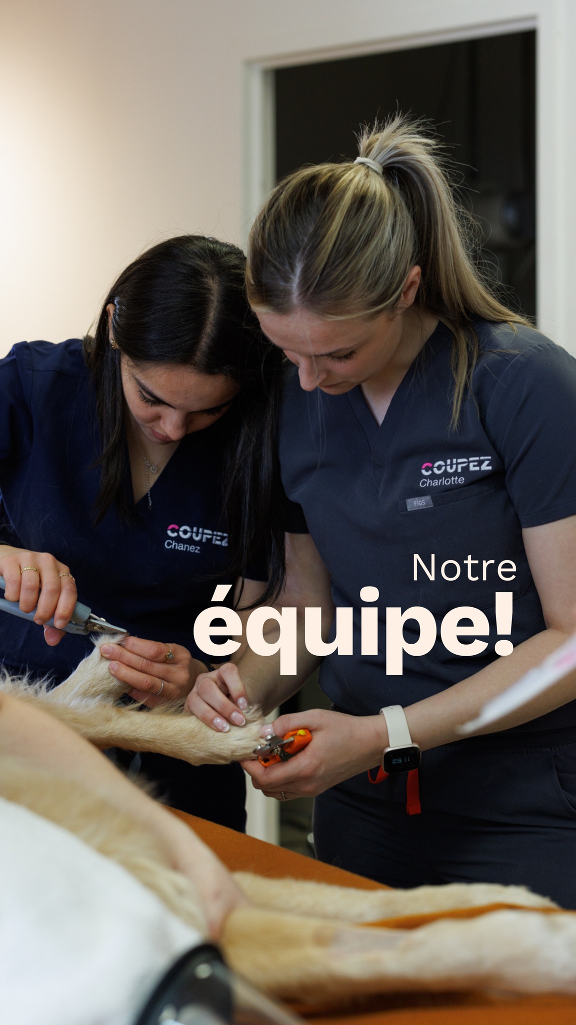 Mélanie, notre cheffe d'équipe ASA, est de retour parmi nous après quelques mois en France!
Re-bienvenue, tu nous as tellement, mais TELLEMENT manqué. 🫶🏻