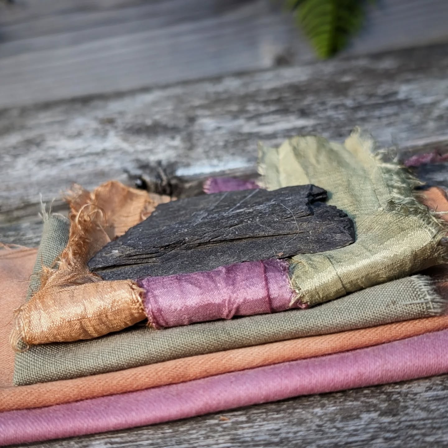 Unbelievable. Three incredible natural colours from Coed Dolgarrog Nature Reserve. Connecting colour with place, people and nature. Ivy, bracken and nettle on recycled sari silk and cotton. My research for The Colours of Dolgarrog workshop for @northwaleswildlifetrust and The Gofod Glas project with @curlyhairedgirl_cymru. Photos from the weekend's workshop to follow soon. Lots of fun and fascination, working with natural colour is like opening the door to another world.