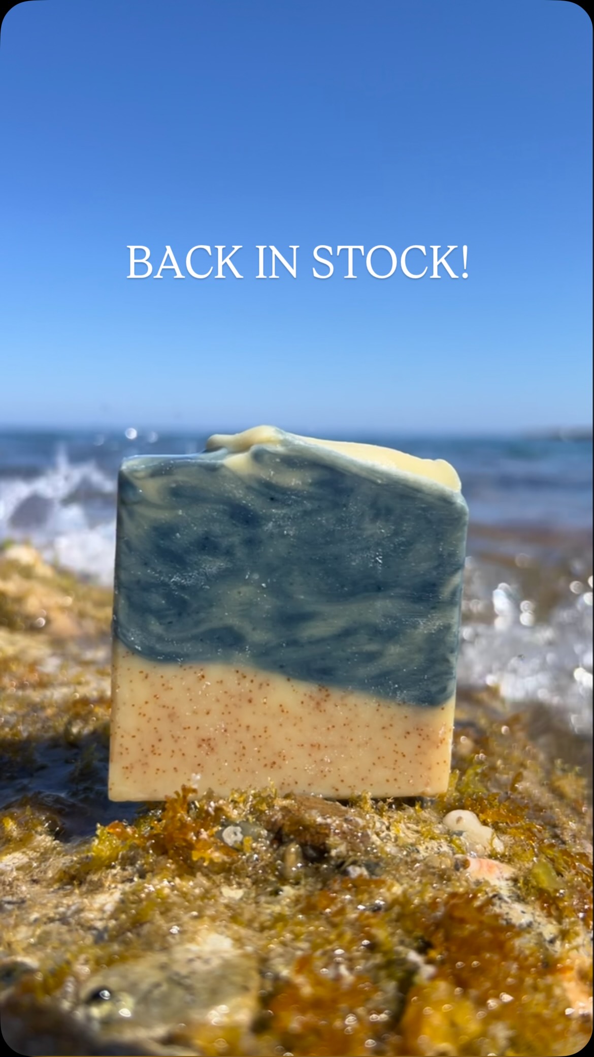 Spearmint & Eucalyptus 🌿
Back in stock on our website!
www.marshvalley.co.uk
#marshvalley #goatsmilksoap #madeinsheffield #madeinyorkshire #feelslikesummer☀️
